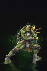 Michelangelo Tmnt (320x480) Resolution Wallpaper