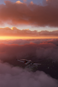 Microsoft Flight Simulator 5k (640x960) Resolution Wallpaper