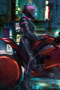 Midnight Rider 2020