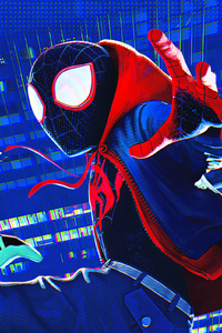 Miles Gwen Spiderman