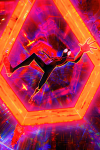Miles Morales Across Spidervese (240x400) Resolution Wallpaper