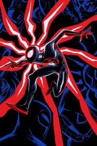 Miles Morales In Spider Verse (800x1280) Resolution Wallpaper