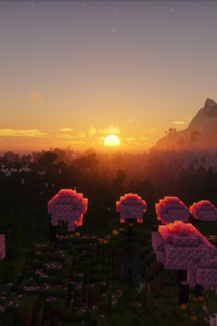 Minecraft Sunset (1440x2560) Resolution Wallpaper