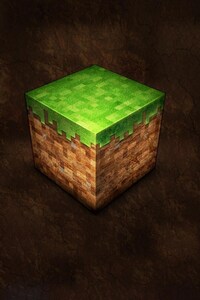 Minecraft Video Game (1440x2960) Resolution Wallpaper