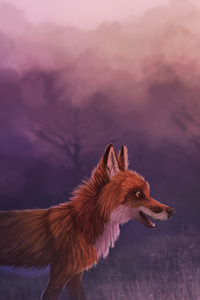 Misty Red Fox 4k