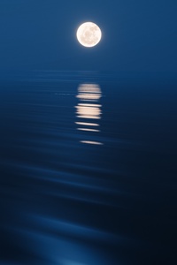 1280x2120 Moon Rising Over The Ocean At Night
