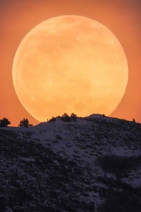 1080x2160 Moon Rising Over The Wasatch Mountains