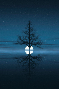 1080x2280 Moon Set Behind Tree
