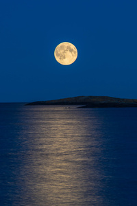 Moonlight Reflection In Sea (1080x2280) Resolution Wallpaper