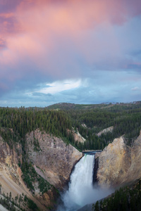 240x400 Morning At Lower Falls In Yellowstone National Park