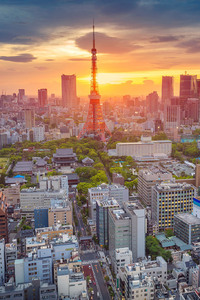 Morning In Tokyo (640x1136) Resolution Wallpaper