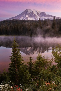 Morning Light At Mount Rainier National Park (1080x2400) Resolution Wallpaper