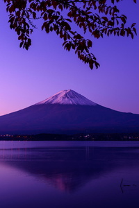Mount Fuji Beautiful View