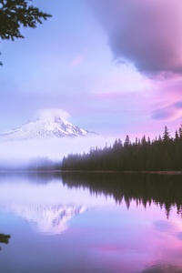 Mount Hood Morning 4k (800x1280) Resolution Wallpaper