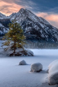 Nature Landscape Winter Snow