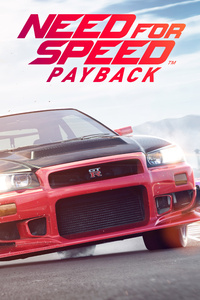1440x2560 Need For Speed Payback