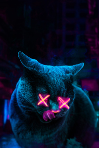 Neon Cat (480x800) Resolution Wallpaper