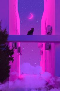 Neon Nights With Meow Synthwave City Cat (480x854) Resolution Wallpaper