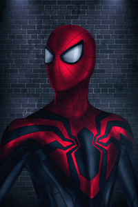 New Spider 4k (1080x2280) Resolution Wallpaper