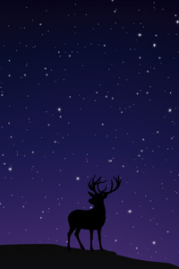 Night Sky And Reindeer (480x854) Resolution Wallpaper