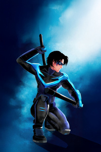 Nightwing Aerial Avenger (480x800) Resolution Wallpaper