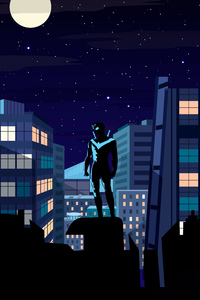 Nightwing Into The Dark (480x800) Resolution Wallpaper