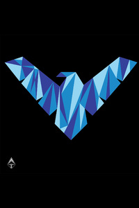 Nightwing Logo (480x800) Resolution Wallpaper