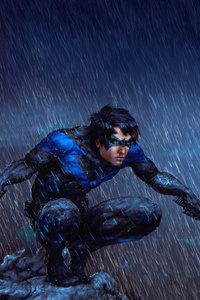 Nightwing Midnight Protector (480x854) Resolution Wallpaper