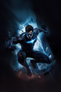 Nightwing Stealthy Valor (480x854) Resolution Wallpaper