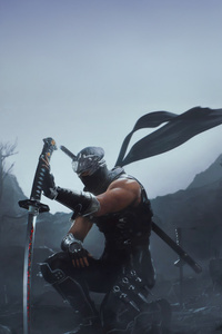 Ninja Gaiden 2 Black (1080x1920) Resolution Wallpaper