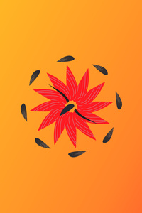 Orange Circle (1242x2668) Resolution Wallpaper