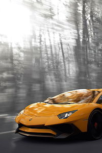 Orange Lamborghini Aventador Monochrome 4k (1080x2280) Resolution Wallpaper
