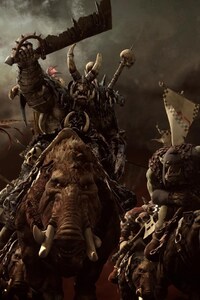 Orcs Total War Warhammer (360x640) Resolution Wallpaper