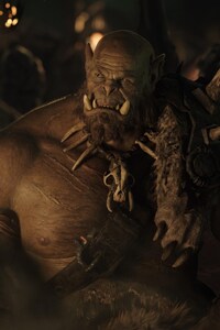 720x1280 Orgrim In Warcraft