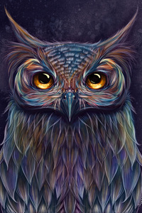 Owl Colorful Art 5k