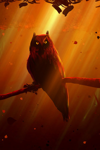 Owl I See You (320x568) Resolution Wallpaper