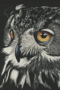Owl Painting 4k (480x800) Resolution Wallpaper