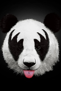 Panda 4k Artwork (2160x3840) Resolution Wallpaper