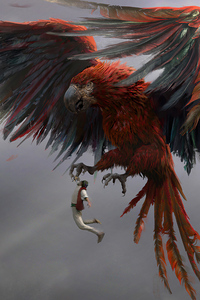 Parrot Aldain (1280x2120) Resolution Wallpaper