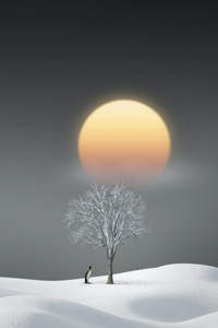 Penguin Tree Sunset Maniuplation (2160x3840) Resolution Wallpaper