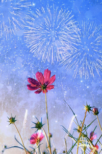1440x2960 Petals And Festivities Vibrant Floral Celebrations