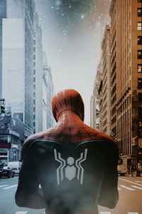 Peter Parker 4k