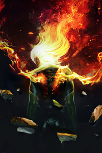 Phoenix Ignited Majesty (640x1136) Resolution Wallpaper