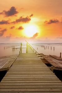 Pier Beautiful Sunset 8k (1080x2280) Resolution Wallpaper