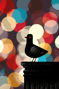 Pigeon Artistic Art (240x320) Resolution Wallpaper