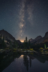 Pine Island Under A Billion Stars (1080x2400) Resolution Wallpaper