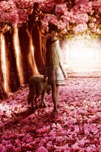 Pink Flowers Path (320x480) Resolution Wallpaper