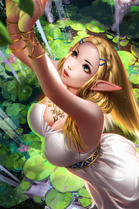 Princess Zelda (720x1280) Resolution Wallpaper