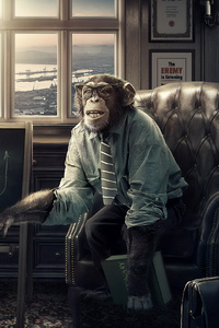 Professor Monkey (240x320) Resolution Wallpaper