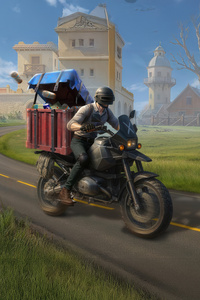 Pubg Chicken Dinner Delivery (240x400) Resolution Wallpaper